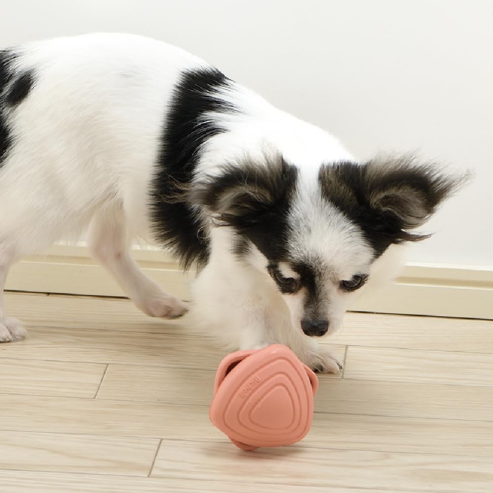 Richelle Glue Peck для щенков SS Розовый Оранжевый