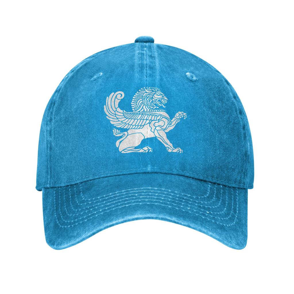 Persian Lion Iranian Baseball Cap Sun  Outdoor Gym Sun-Proof Washed Trucker Hat Women Unisex Casual Design Snapback Cap