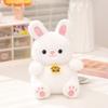 Cute Kittens Rabbits Raccoons And Panda Plush Dolls With Design Embroidery