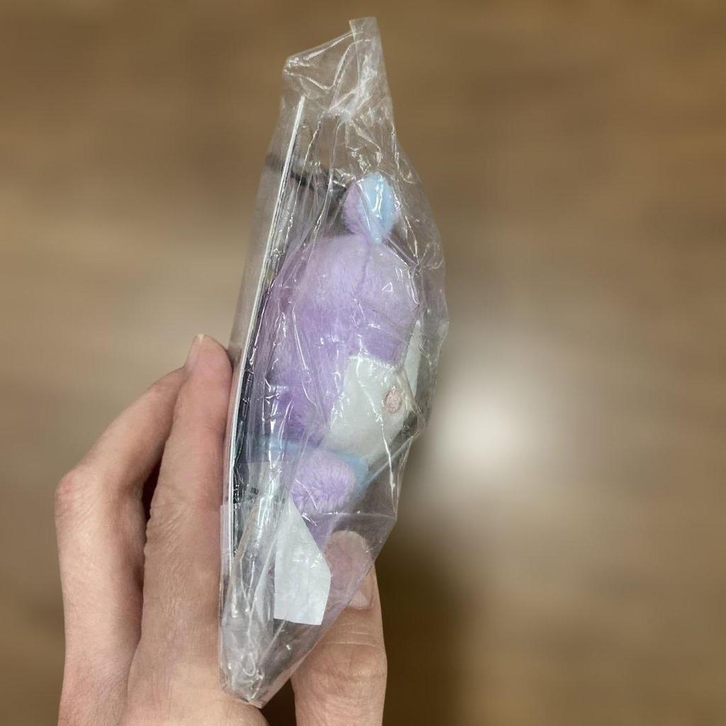 [USED] BT21 Plush Mascot Keychain (Sold Out Online) Mang