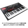 KORG KORG Wavetable Synthesizer Modwave MK II Max Stereo 60 Voices