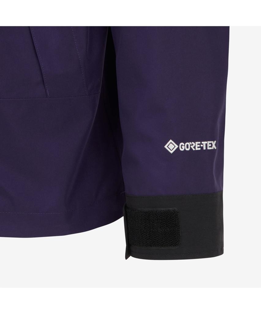 The North Face Nj2Gr02B Men'S Gore-Tex Mountain Jacket Dark_Purple
