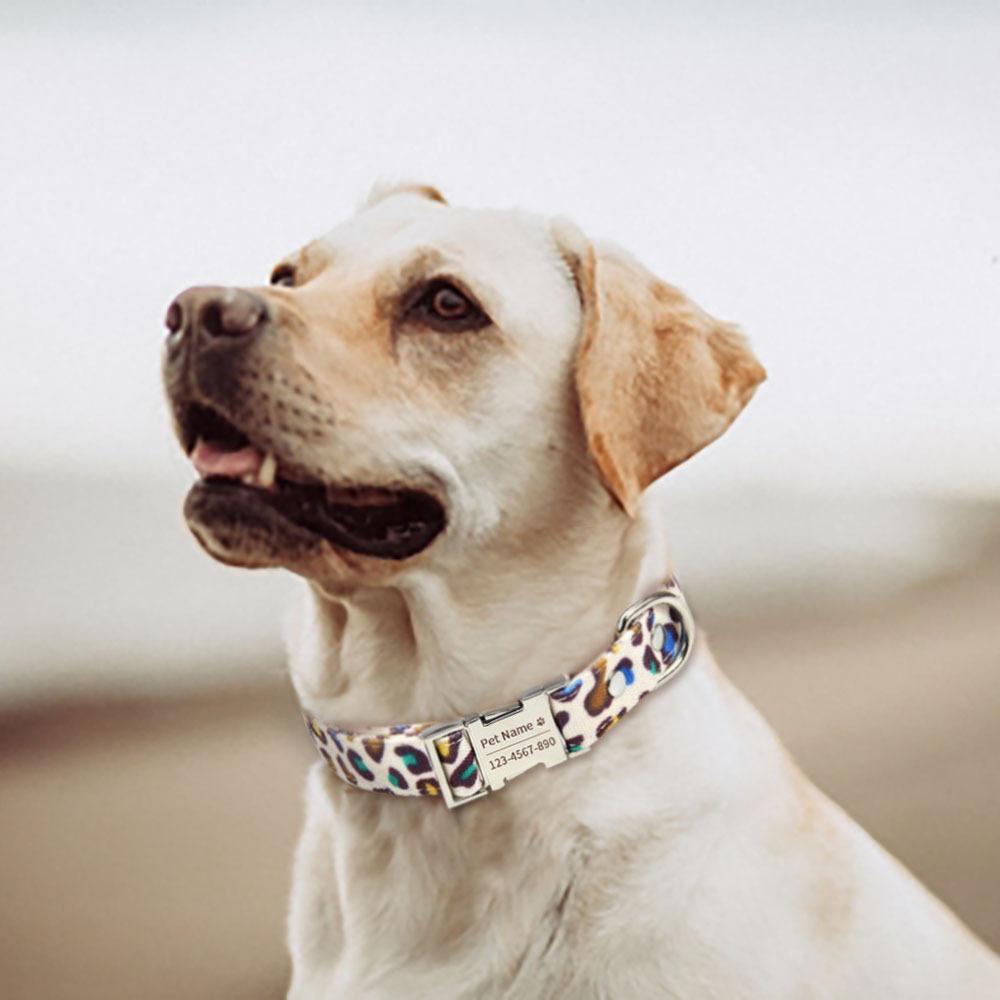 Pet collar dog lettering metal traction cat neck ring leopard print Japanese and Korean dog collar dog neck ring pet