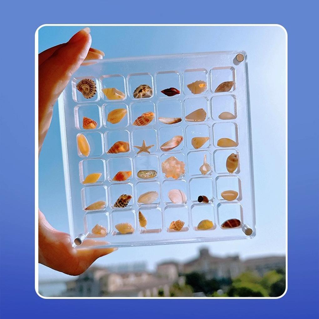 Белая витрина для ракушек, стиль 1, прозрачная акриловая коробка с 36 ячейками, органайзер для хранения ювелирных изделий и бусин