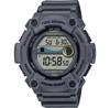 Часы Casio COLLECTION WS-1300H-8A
