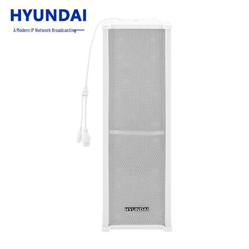 Hyundai IP Network Broadcasting Audio Systems CN plug (adapter included) (CN version)