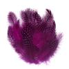 50pcs/Pack Colored Guinea Feather for Fly Tying Dotted Hackle Collars Tailing Wingcases and Cheeks Tube Fly Tying Material
