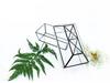 Geometric Glass Greenhouse: Preserved Flower & Moss Succulent Display for Home & Restaurant Decor