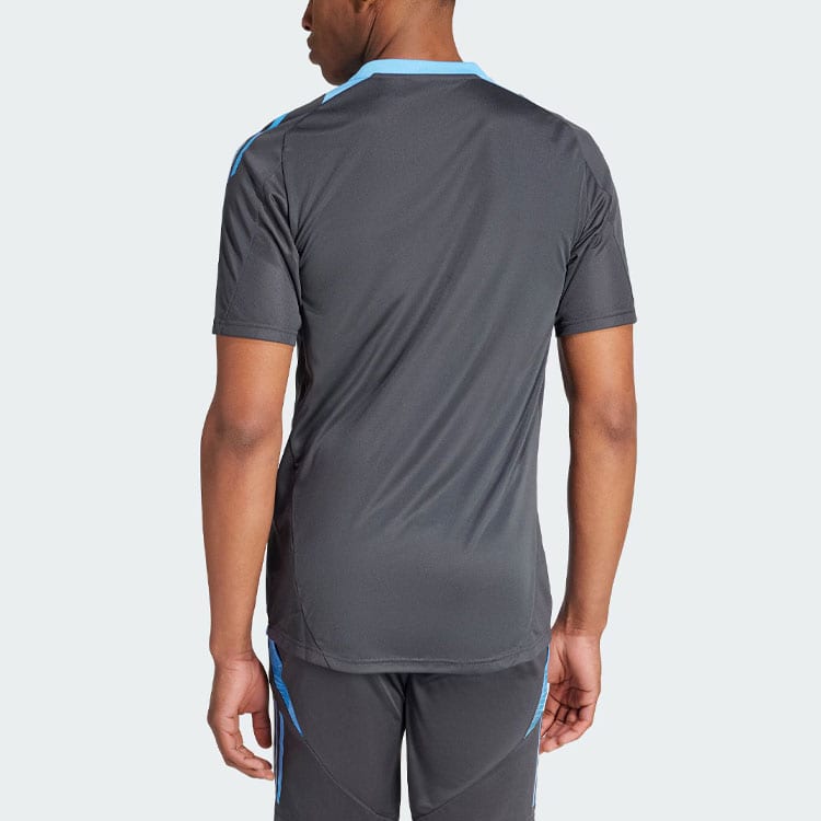 adidas Сборная Аргентины Аргентина Tiro 24 Игровая футболка Футболка Мужская IQ0815
