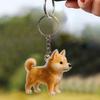 Dog Hair Storage Pendant Keychain Transparent Dog Fur Collector Pendant Souvenir Collection Gift Bag Decoration Keychain Jewelry
