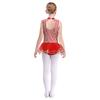 Kids Girls Sparkly Latin Dance Outfit Striped Leotard Mock Neck Open Back Design and Tulle Skirt Performance Wear