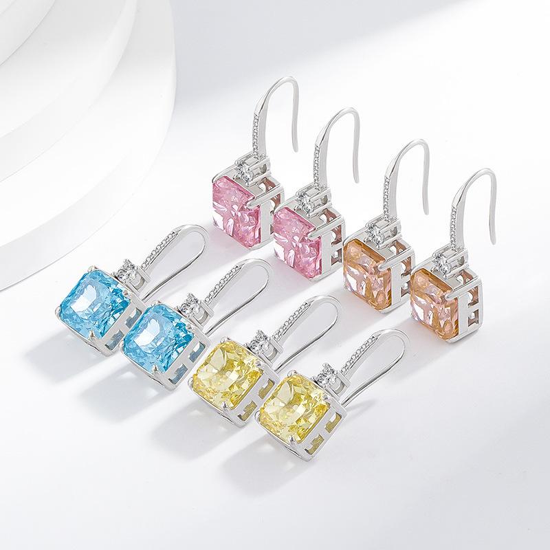 925 Sterling Silver Ice Flower Cut Crystal Zircon Perfume Bottle Ear Hook Birthday Anniversary Wedding Party Gift