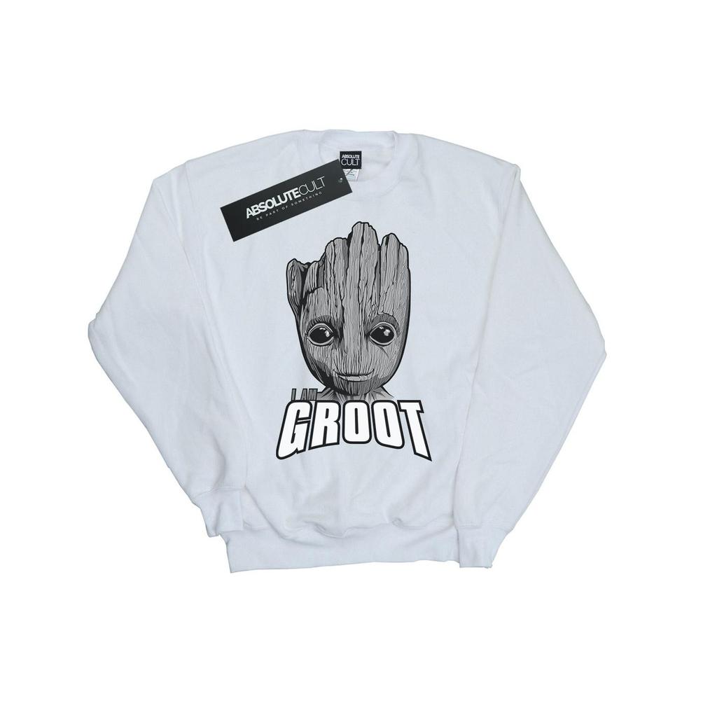 Marvel Boys Guardians Of The Galaxy Groot Face Sweatshirt