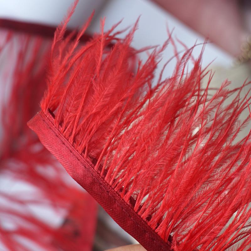 Цвет Страусиное Перо Ткань Кромка 9-11См Платье Модная Декорация Перьевая Ткань С Бахромой Аксессуары Для Одежды