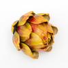 Artificial Artichoke Model Vase Filler Fake Vegetables And Fruits Faux Plant Kitchen Decorations Home Art Decor