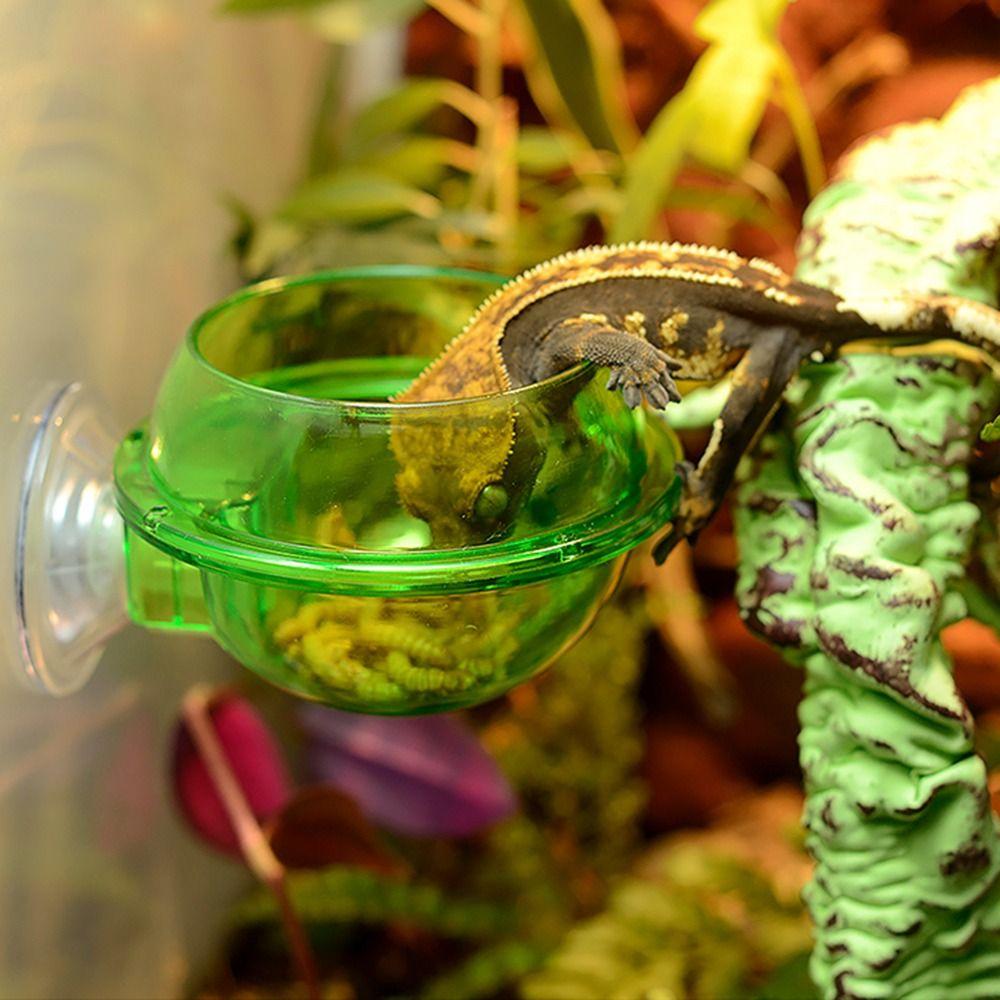 Контейнер для еды на присосках, защищенный от побега, Миска для кормления рептилий, Кормушка, Тарелка, Миска для червей