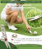 Golf Green Fork Divot Repair Tool Set of 1 Lawn