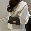 Fashion Retro Trend Printing Summer New Popular Chain Shoulder Messenger Bag Small Square Bag Women's Bag