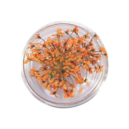 1 коробка подвески для ногтей, не выцветающие, «сделай сам», легко наносятся, изысканные красочные натуральные цветы, художественное украшение для маникюрного магазина