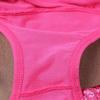 Luxurious Women Lace High Waist Seamless Underwear Panties For Ultimate Comfort L-2xl