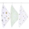 Aden Anais Aiden and Anais Wash Cloth Set of 3 30 X 30cm 2024 Zodiac Sign Dragon Muslin Cotton with Loop Baby Gift Gauze Towel WCADABAWCC30011 +