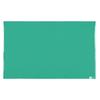 Коврик для офисного стола Lion, зеленый, в комплекте 1095×695 мм, № 117-PE