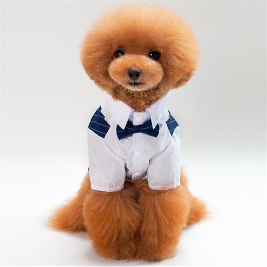 Изысканный костюм-рубашка для собак, модный костюм для кошек