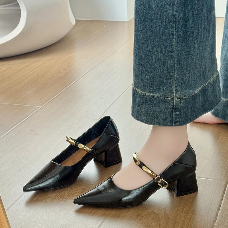 Fashion Korean Block Heel Mary Jane Retro Single Shoes Women's 2025 New Autumn Pointed Toe Shallow Mouth Vintage Strap High Heels