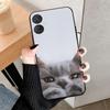 For Tecno Spark 9 Pro Case Spark9 Pro TPU Cat Painted Silicone Bumper Cover for Tecno Spark 9 Pro 9Pro KH7 Phone Case Soft Cover