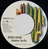7inch Record JUNIOR KELLY - Burn Rome RMVS053 Humal Records 2001 UK Reggae, Ska & Dub Used