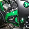 Kawasaki Ninja 250/Z250/300 (2013-2016) Front Chain Decorative Cover
