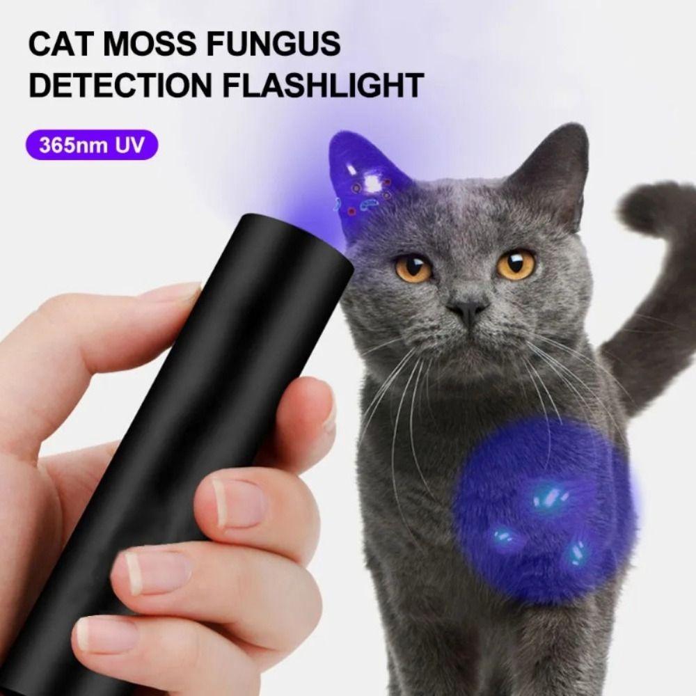 Mini UV Flashlight 365nm Money Detector Light Durable Pet Urine Stains Detector