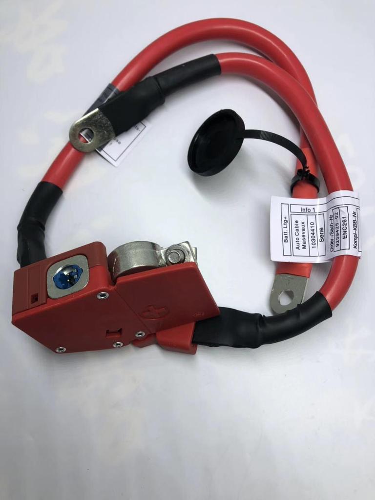 BMW F30/F31/F34/F36 Аккумуляторный кабель 61129259425