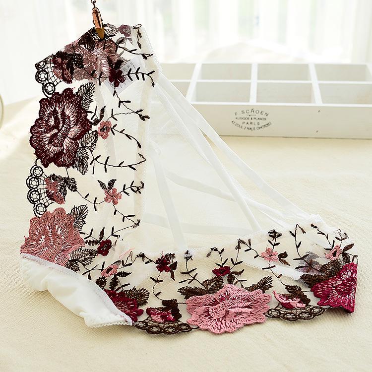 Women Sexy Hollow Briefs Mesh Transparent Underpants Underwear Lace Embroidery Panties Bandage Erotic Briefs Lingeire