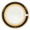 Noritake American Cup Saucer 220cc Evening Majesty 2 Bone China & (Pair Set) P59589/4818