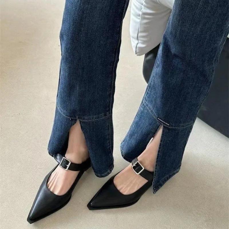 Fashion Coarse Heeled Women's Shoes, Retro French Buckle, Mary Jane Women's Shoes, Pointed Toe, Low Heel, Shallow Mouth Single Shoe