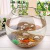 8/10/12/15cm Round Ball Vase Micro Landscape Moss Ecological Bottle Transparent Hydroponic Vase Simple