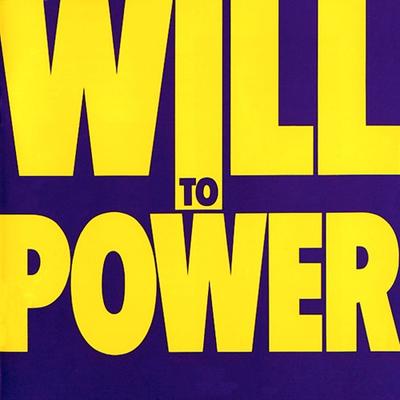 Виниловая пластинка WILL TO POWER Will To Power FE40940 EPIC 1988 США Танцевальная Электроника Б/у