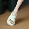 Internet Celebrity Cool Slippers Women's Summer Wear 2025 New Fashion Wear Thick Bottom Heightening Beach Drag