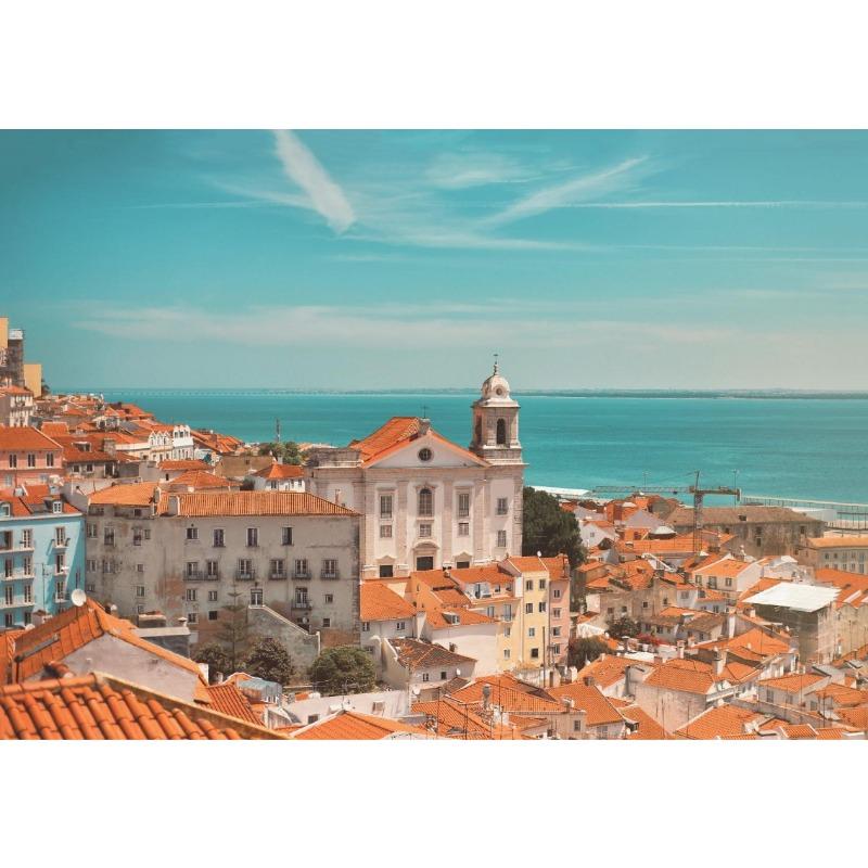 Boho Style Summer Pool Beach Palm Whale Northern Europe Posters Prints Canvas Painting Wall Art Picture Living Room Home Decor