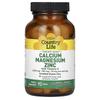 Contains Calcium Magnesium Zinc, Vitamin D, 90 Tablets