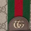 Gucci Ophidia Logo Classic Canvas And Leather Mini Shoulder Bag Women shoulder bag Beige Dark-Brown 838471-FAE0P-9746
