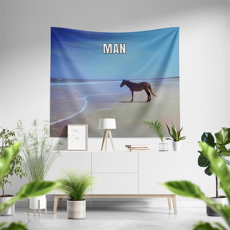 Aertemisi Man Horse on Beach Meme Tapestry Wall Hanging Art for Bedroom Living Room College Dorm Party Backdrop Home Room Decor