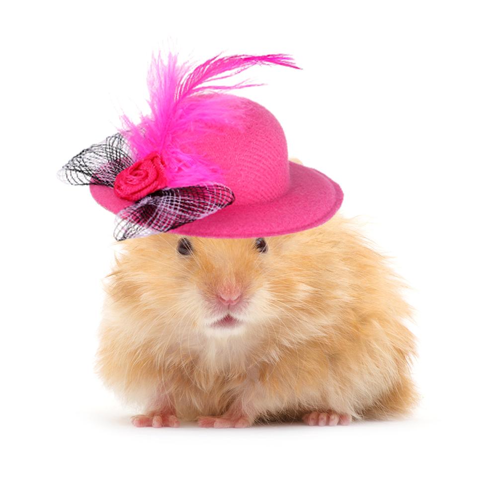 Stylish Show Costum Rooster Elastic Strap Chicken Hats Pets Supplies Cap for Hens Feather Top Hat