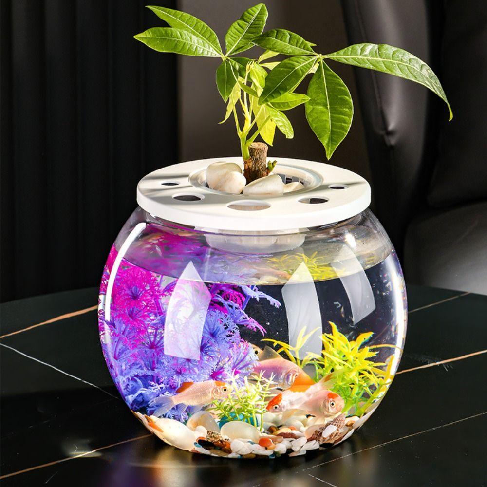 Transparent Small Clear Fish Tank Shatterproof Turtle Terrarium Turtle Aquarium Office Decor