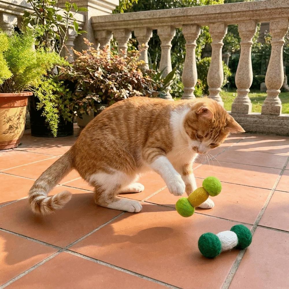 2PCS Soft Plush Cat Chew Toys Bite-Resistant Interactive Cat Toys Cat Teaser Toy Indoor Use