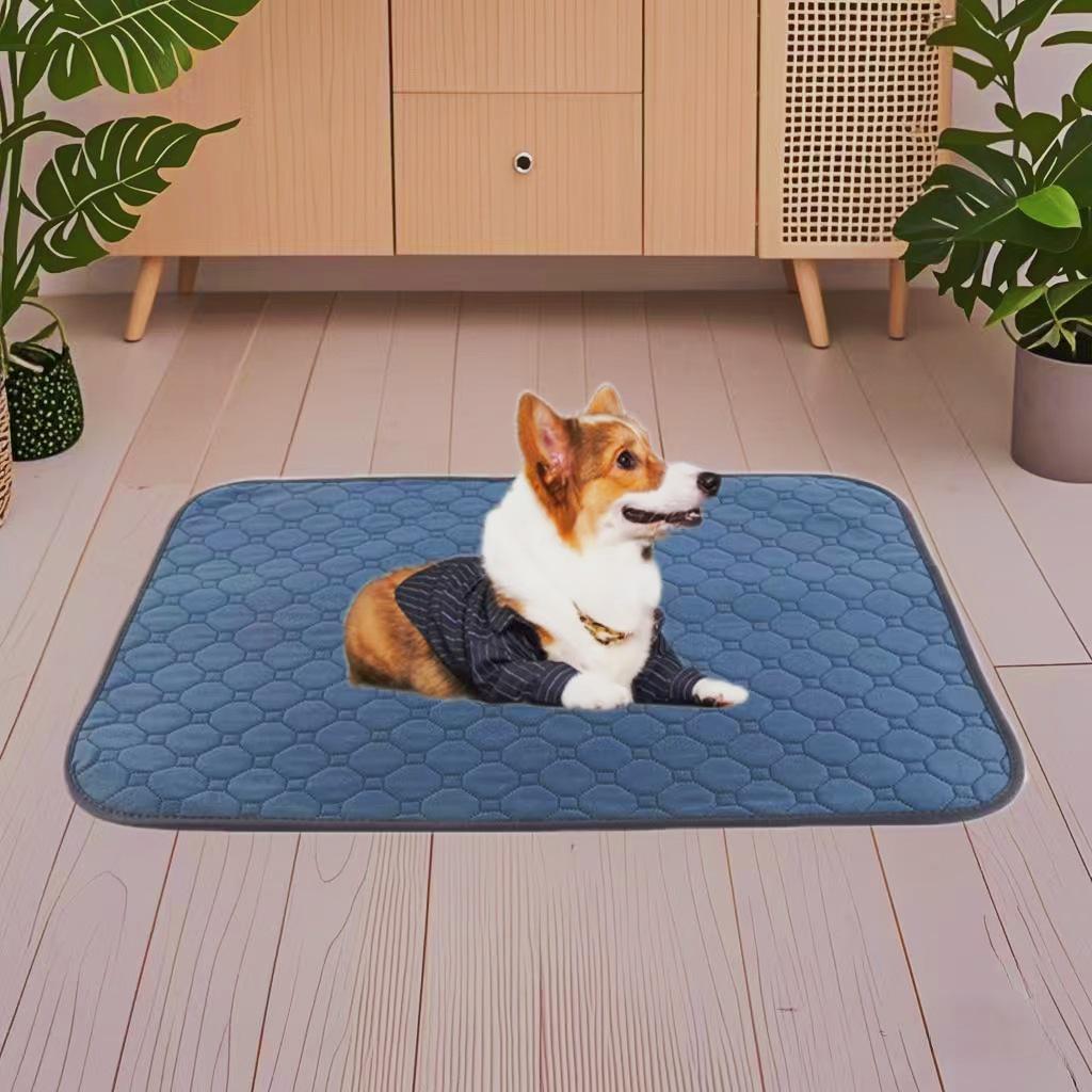 Washable, Non-slip, Breathable & Absorbent Dog Training Pad - Waterproof & Thick for Incontinence