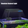 Full Spectrum Aquatic Plant High Intensity Aquarium Lamp Aquatic Plant Lighting Lamp Black Clamp Light Energy Saving Universal