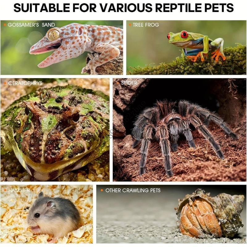 H7EA Акриловый террариум для прыгающих пауков, террариумы для насекомых, террариумы для рептилий, террариум для богомолов, террариум для лягушек