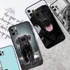 Черный Лабрадор Собака Чехол для Телефона Для iPhone 11 12 13 14 15 Pro Max Mini 14 15 Plus X XR XS Max 7 8 SE 2020 Чехол